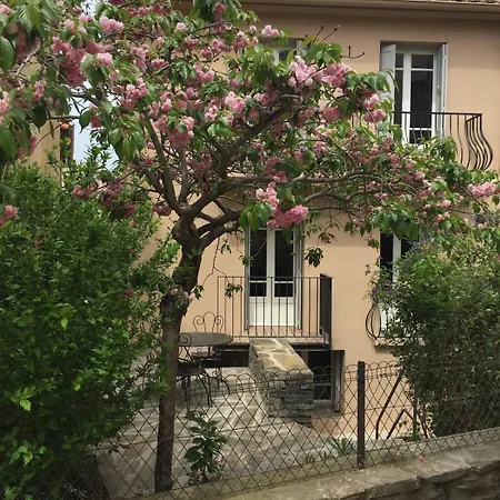 Maison De Village Proche De La 别墅 科利尤尔